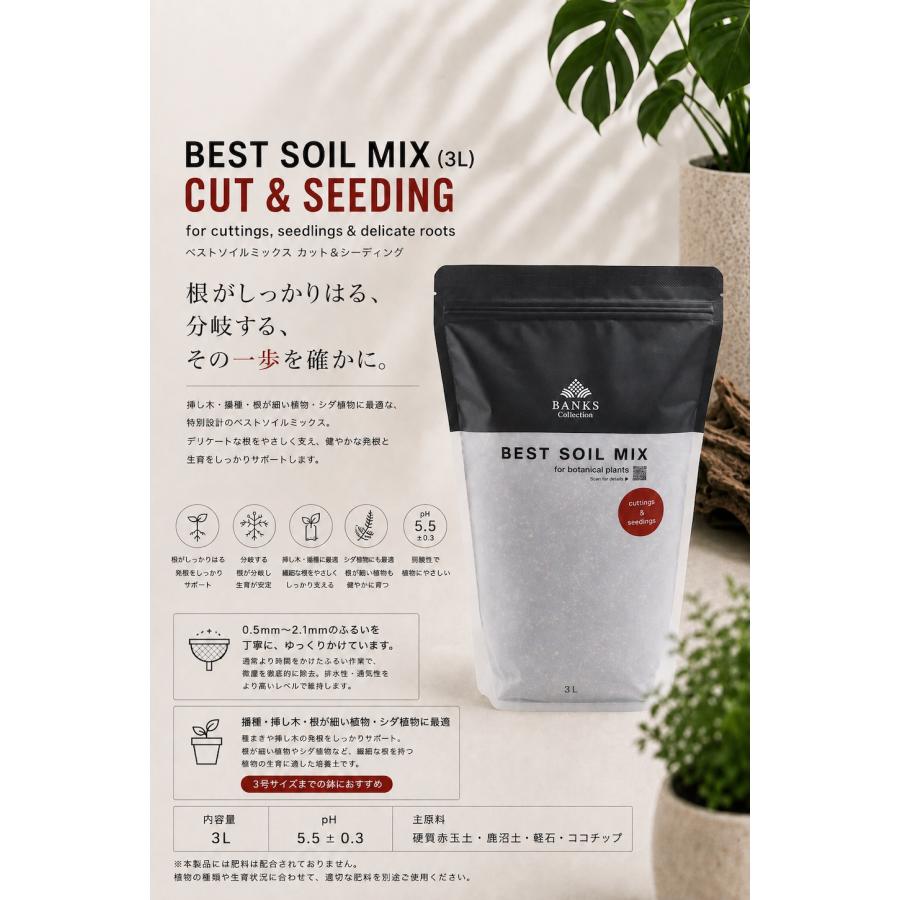 【細粒】CS3-2 ベストソイルミックス挿木・播種用3L2袋 best soil mix for cutting & seeding BC 観葉植物用培養土 | 