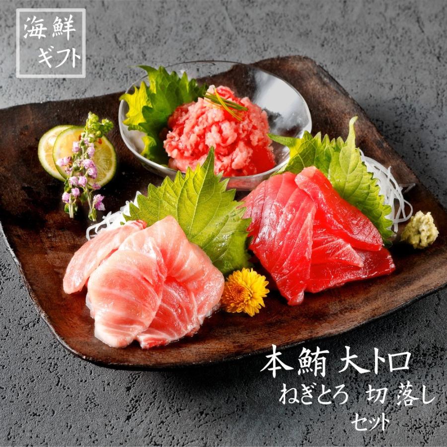 本マグロ大トロ切落し 100g キハダマグロ切落し100ｇ ねぎとろ 100ｇ 2 まぐろ 寿司 お中元 お歳暮 御祝 内祝 ギフト お中元 バンノウ水産 Paypayモール店 通販 Paypayモール