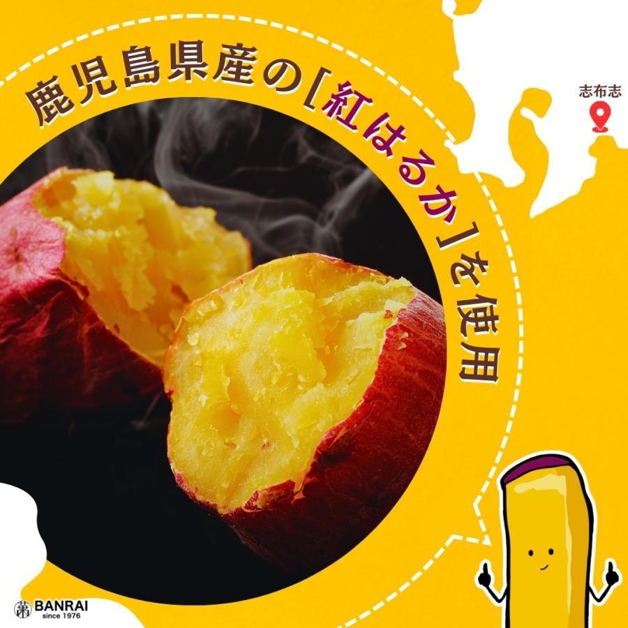 薩摩おいも棒 250g ／さつまいも 大学いも 中華ポテト 人気