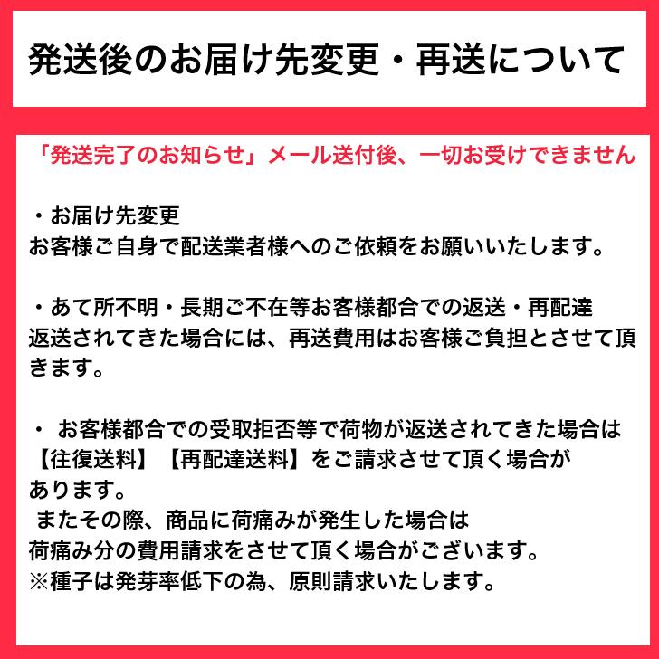 【花のセル苗】プラグ苗　マリーゴールド　ボナンザ　イエロー/オレンジ　406穴360本　特価　播種　自家用　業務用　送料無料｜banshoku｜07