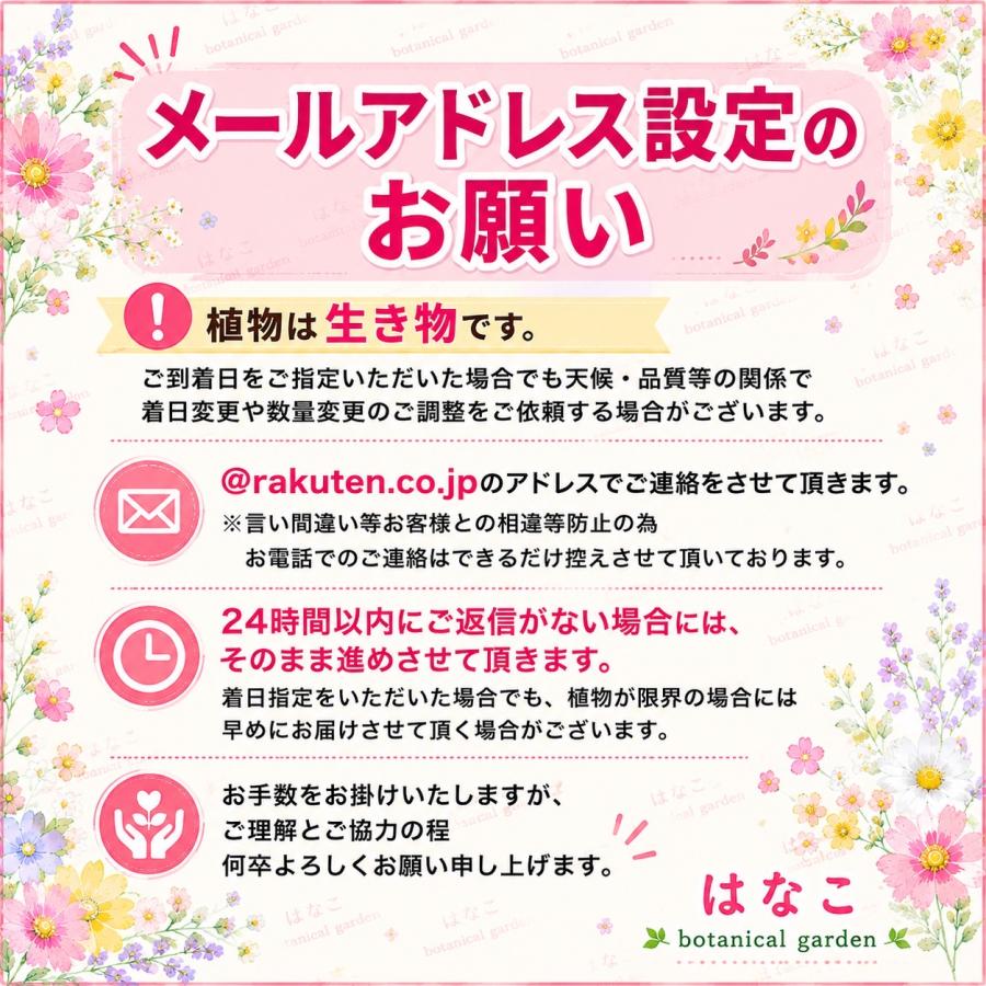 花のセル苗】プラグ苗 トルコギキョウ (ユーストマ) ミックス トルコ