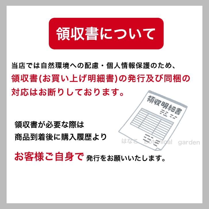 花のセル苗】プラグ苗 トルコギキョウ (ユーストマ) ミックス トルコ