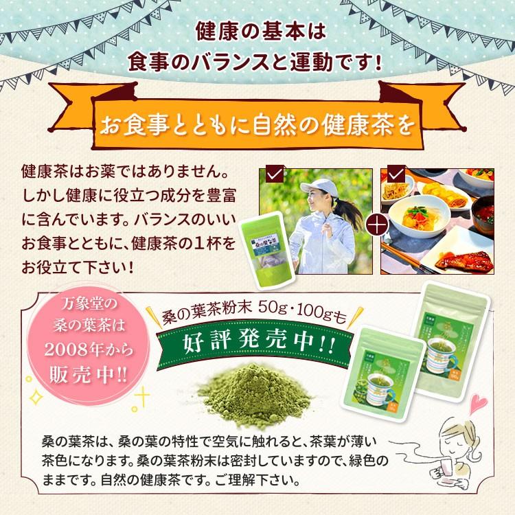 桑の葉茶 パウダー 1g×30袋×３ 国産 粉末 桑茶 効能 青汁 くわ茶 糖質 無農薬 栽培 熊本県産 カフェインレス｜bansyodo1｜16