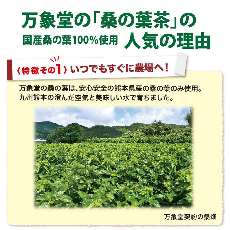 桑の葉茶 パウダー 100g 国産 粉末 桑茶 効能 青汁 くわ茶 糖質 無農薬 栽培 熊本県産 カフェインレス ダイエット｜bansyodo1｜07