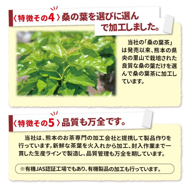 桑の葉茶 パウダー 100g×5袋 国産 粉末 桑茶 効能 青汁 くわ茶 糖質 無農薬 栽培 熊本県産 カフェインレス｜bansyodo1｜11