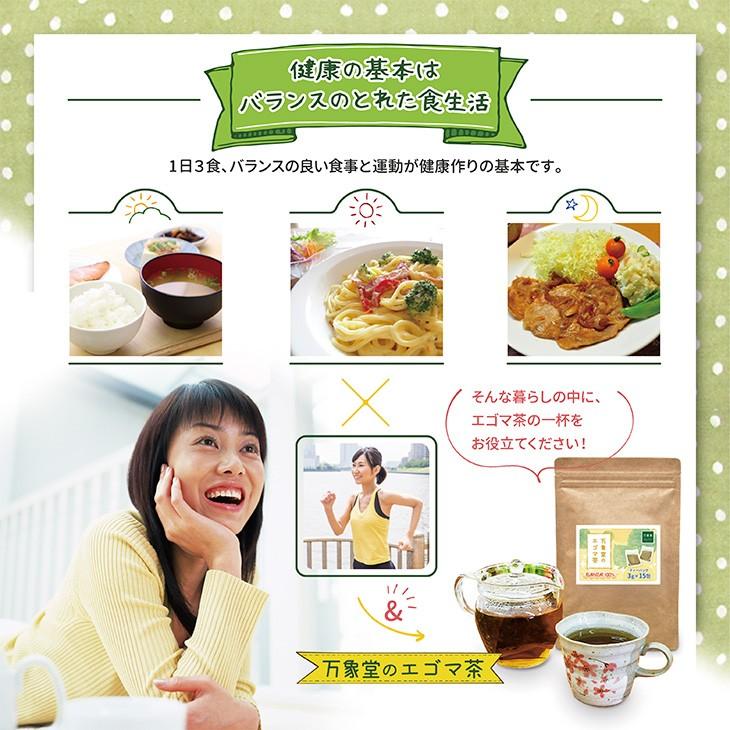 【お得な2袋セット】えごま茶 ティーパック 国産 島根県産 3g×15袋×2袋 エゴマ 茶 カフェインレス｜bansyodo1｜07