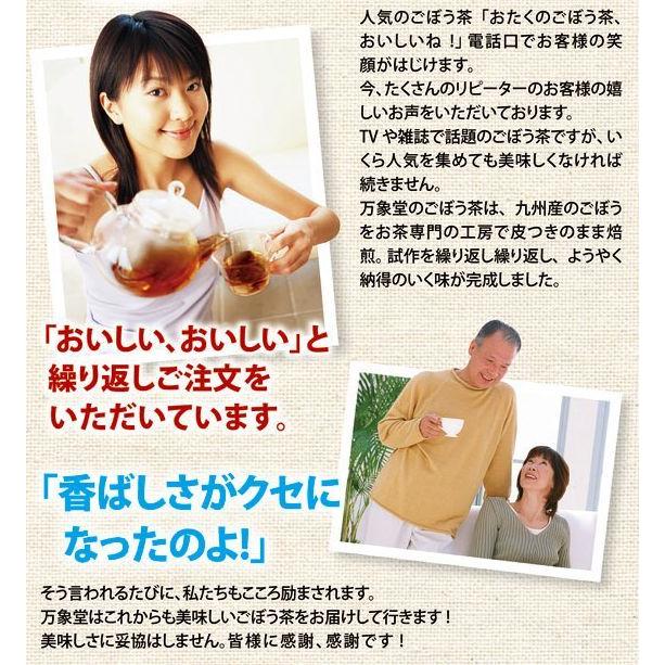 ごぼう茶 ティーパック 1 5ｇ 15袋 国産 ダイエット茶 ゴボウ G15 1 万象堂通販ヤフー店 通販 Yahoo ショッピング