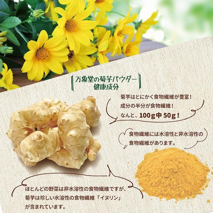 菊芋 粉末 パウダー 50g×2袋 きくいも イヌリン 熊本県産 無農薬栽培