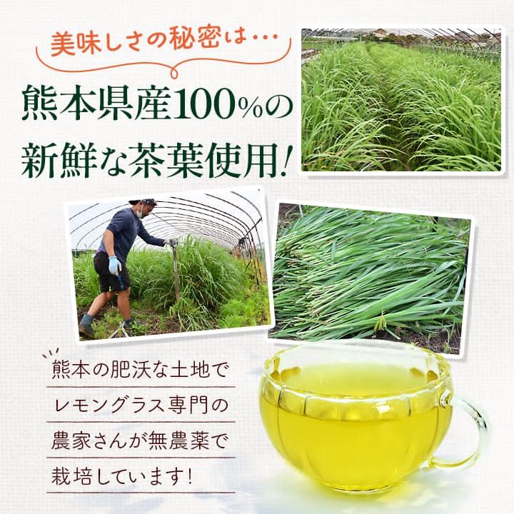レモングラスティー1.5g×15袋 ハーブティー茶葉 国産 熊本県産 阿蘇 無