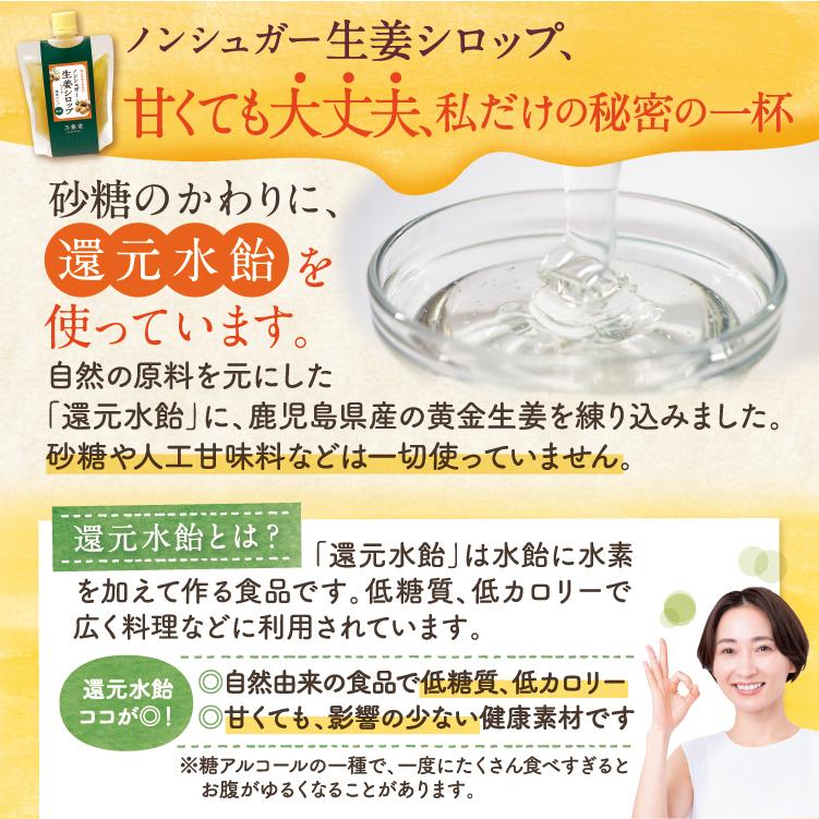 シュガーレス 生姜シロップ 200ｇ ジンジャ―シロップ 糖質 ノンシュガー 砂糖不使用 |  | 02