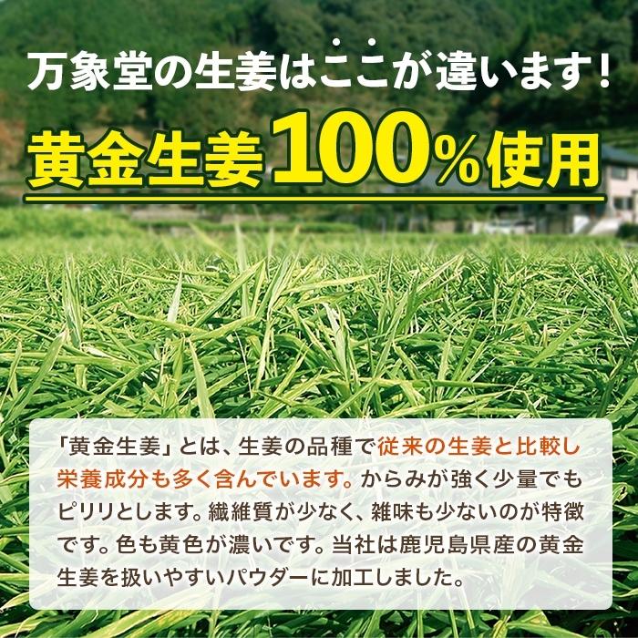 シュガーレス 生姜シロップ 200ｇ ジンジャ―シロップ 糖質 ノンシュガー 砂糖不使用 |  | 06