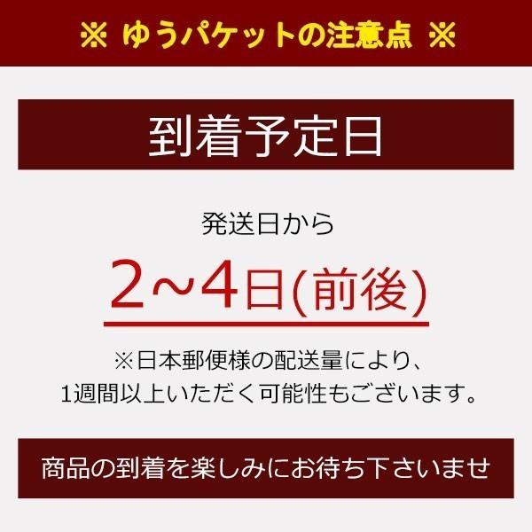 送料無料 犬用ちゅ〜る 食べ比べ2種類各2袋 犬用 おやつ ペット ちゅ