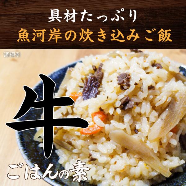 送料無料 選べる 炊き込みご飯の素 2合用 1袋と雪若丸2合のセット ポイント消化 お試し 1000円 ぽっきり 牛ごはん 豚ごはん Kamamesi Kome どんまい生活館 通販 Yahoo ショッピング