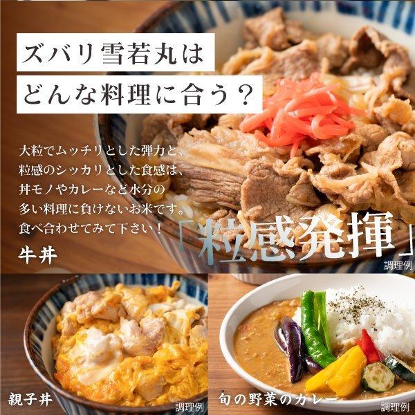 山形県産 雪若丸 2合300g 2年連続特A評価 食品 ポイント消化 お試し お