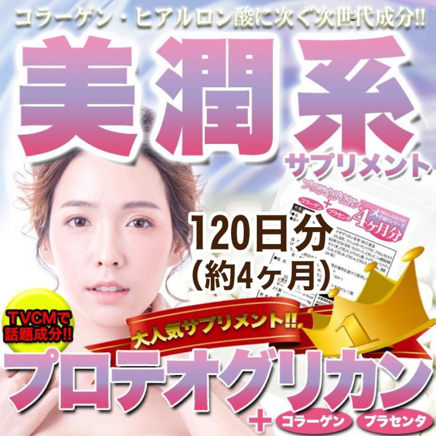 プロテオグリカン 4袋、Lシトルリン4袋　各12ヶ月分 送料無料 サプリ サプリメント プロテオグリカン 大容量 約4ヶ月 ※賞味