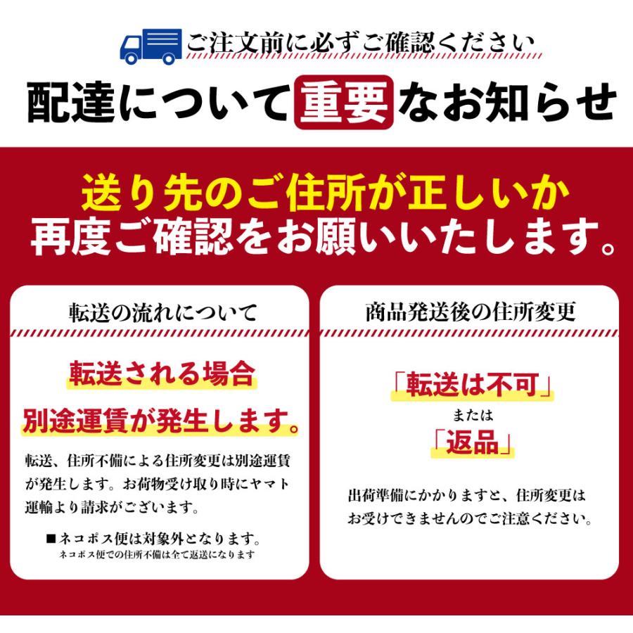 どんまい 生パスタ ポイント消化 3種から選べる 讃岐の生パスタ 6食 麺のみ 180g×3 食品  パスタ フェットチーネ リングイネ スパゲティ 送料無料 爆買 |  | 18
