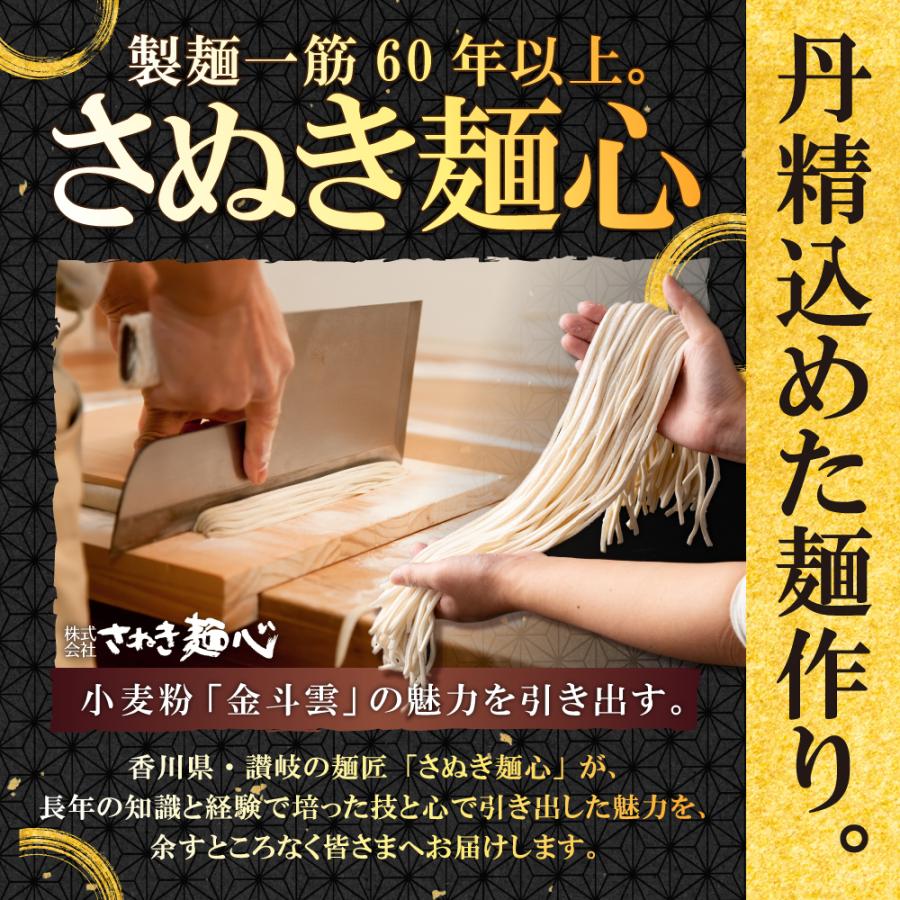 讃岐うどん 日清製粉(株)の小麦粉「金斗雲」使用 2種から選べる 大盛り