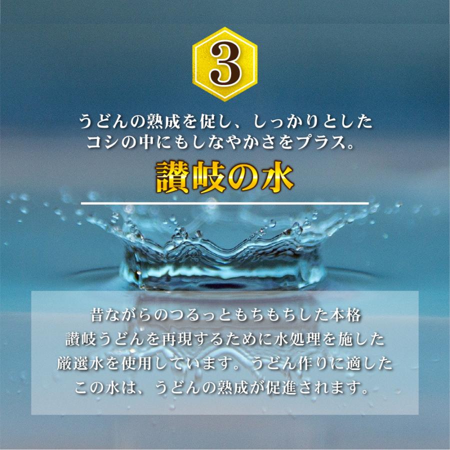 頑固父さんが唸る讃岐生うどん9食 (麺のみ300g×3袋 ) だし付6食 送料無料 普通麺 生うどん 讃岐 生麺 産地直送 香川 食品 ポイント消化 グルメ ポスト投函 |  | 11