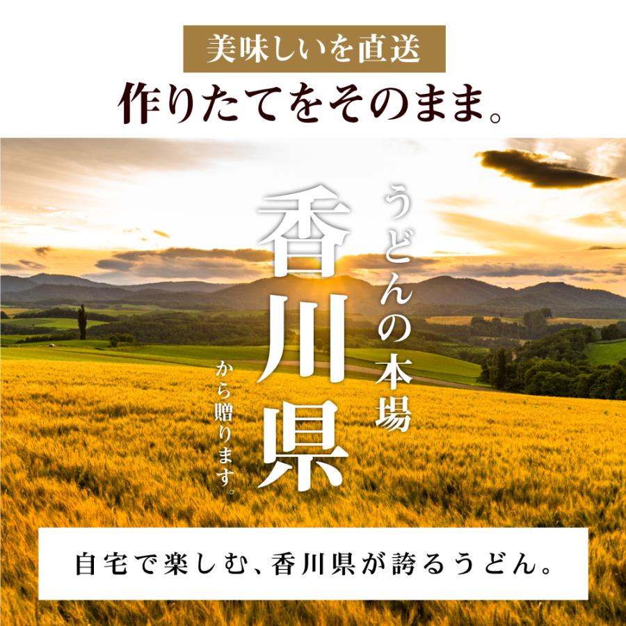 頑固父さんが唸る讃岐生うどん9食 (麺のみ300g×3袋 ) だし付6食 送料無料 普通麺 生うどん 讃岐 生麺 産地直送 香川 食品 ポイント消化 グルメ ポスト投函 |  | 07