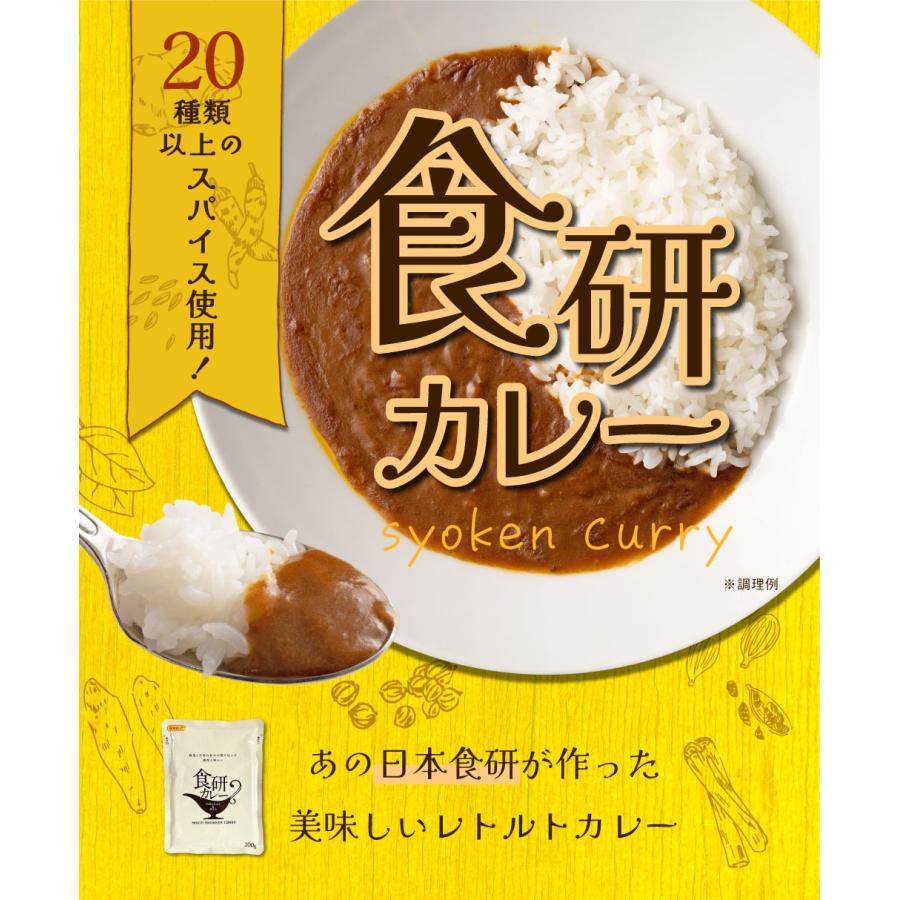 食研カレー 1食(200g×1)　送料無料 日本食研 中辛 レトルトカレー 食べ物 食品 お試し ポイント消化 グルメ 非常食 保存食 洋食 簡単 便利 時短 メール便｜banya｜02