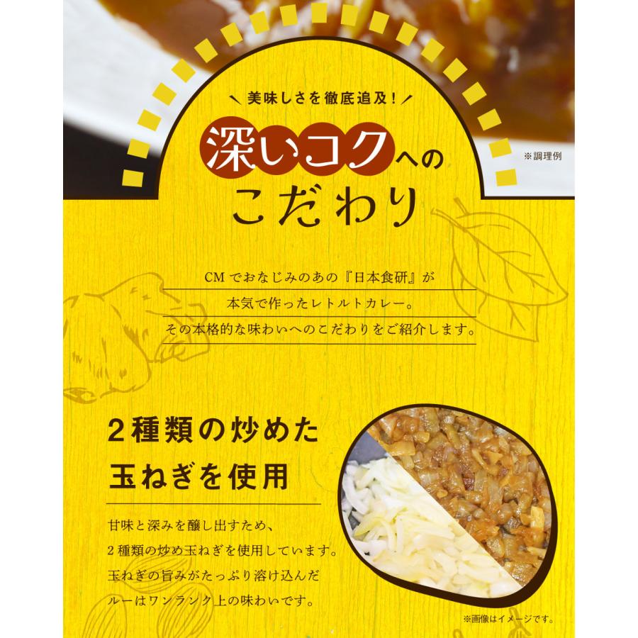 食研カレー 1食(200g×1)　送料無料 日本食研 中辛 レトルトカレー 食べ物 食品 お試し ポイント消化 グルメ 非常食 保存食 洋食 簡単 便利 時短 メール便｜banya｜05