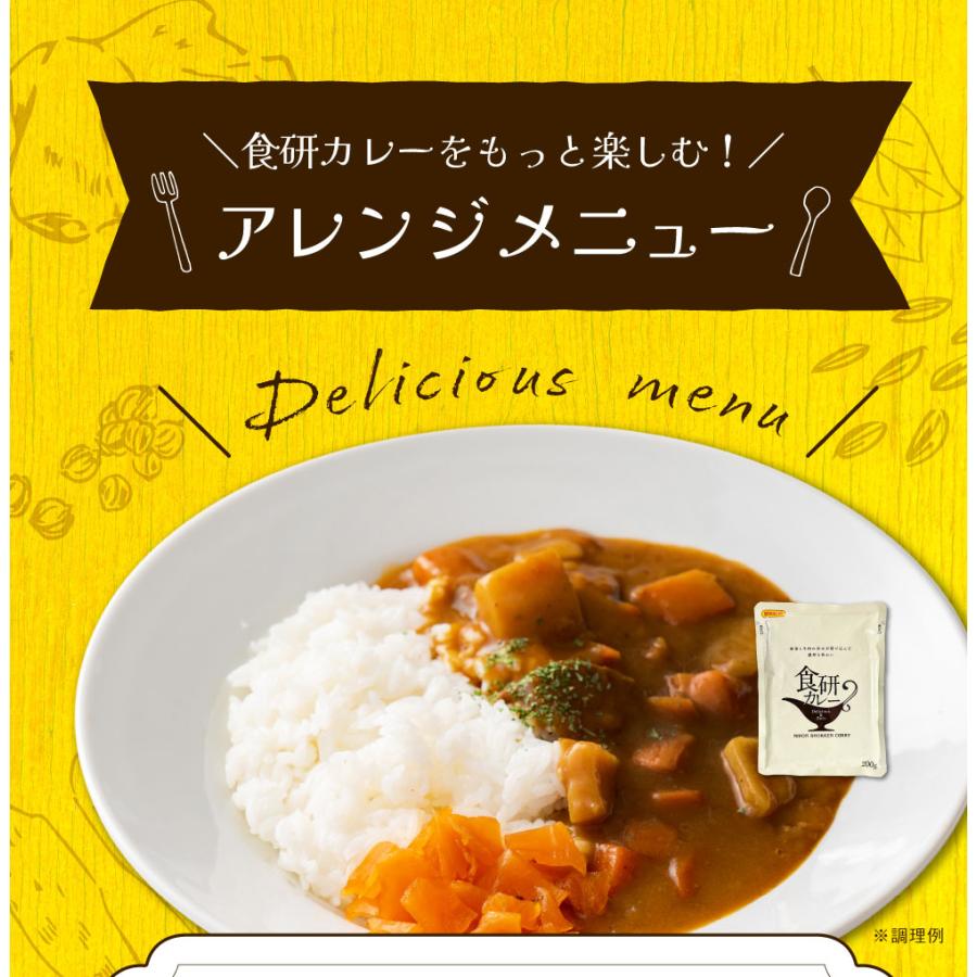 食研カレー 2食(200g×2)　送料無料 日本食研 中辛 レトルトカレー 食べ物 食品 お試し ポイント消化 グルメ 非常食 保存食 洋食 簡単 便利 時短 メール便｜banya｜12