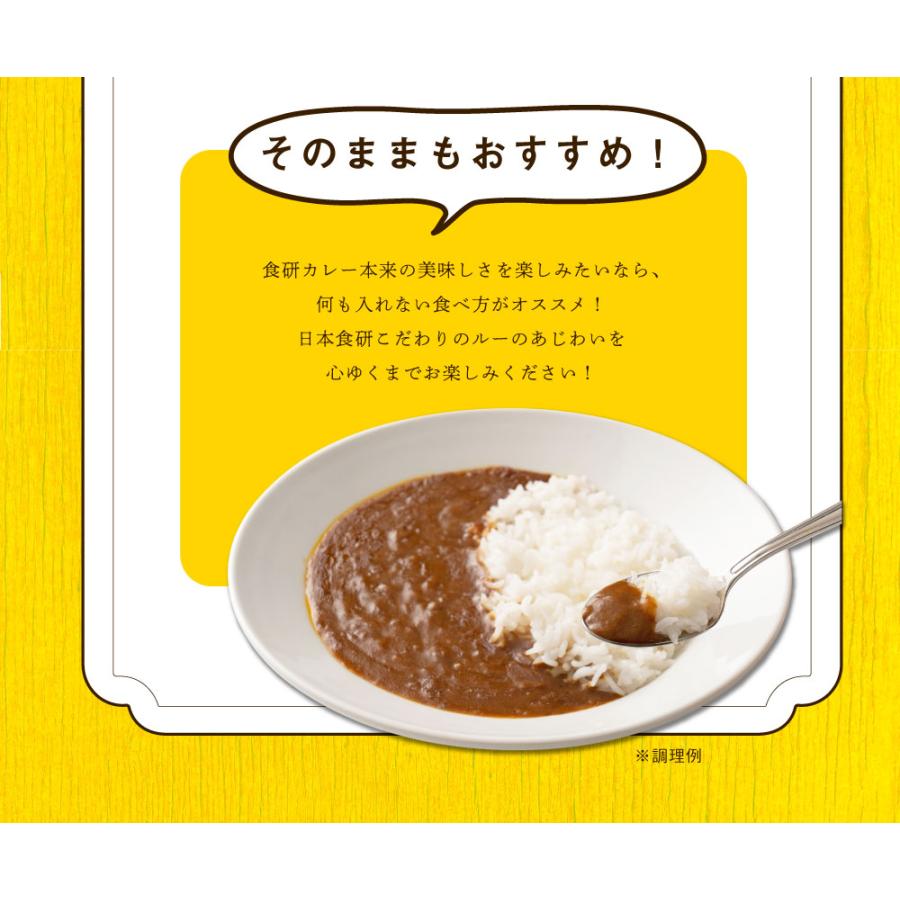 食研カレー 2食(200g×2)　送料無料 日本食研 中辛 レトルトカレー 食べ物 食品 お試し ポイント消化 グルメ 非常食 保存食 洋食 簡単 便利 時短 メール便｜banya｜14