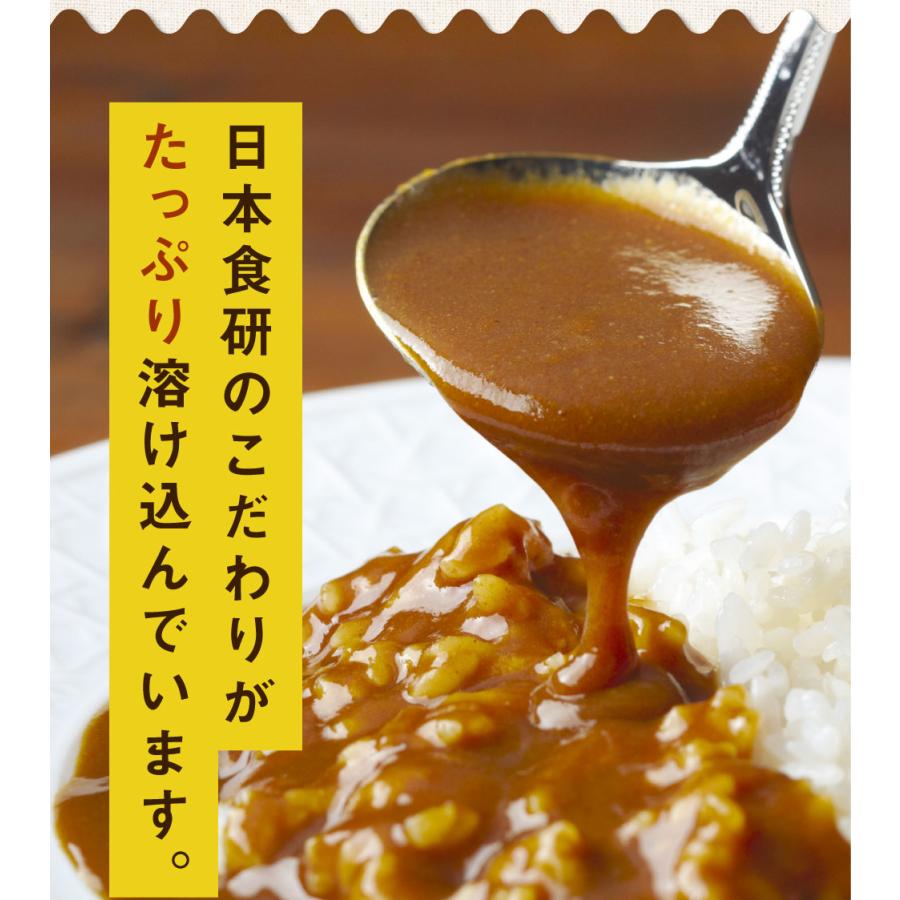 食研カレー 2食(200g×2)　送料無料 日本食研 中辛 レトルトカレー 食べ物 食品 お試し ポイント消化 グルメ 非常食 保存食 洋食 簡単 便利 時短 メール便｜banya｜04