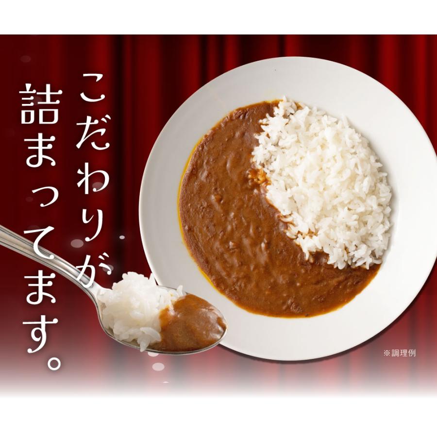 食研カレー 4食(200g×4)　送料無料 日本食研 中辛 レトルトカレー 食べ物 食品 お試し ポイント消化 グルメ 非常食 保存食 洋食 簡単 便利 時短 メール便｜banya｜10