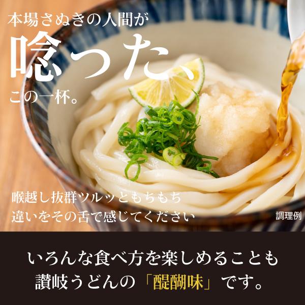 どんまい うどん 讃岐うどん 3種から選べる 讃岐生うどん6食