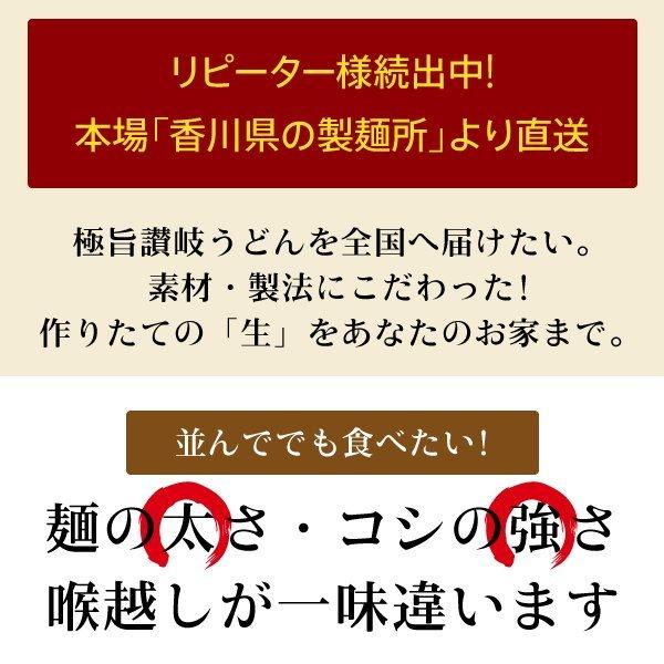 送料無料 うどん 讃岐うどん 3種から選べる 讃岐 生うどん 9食 麺のみ (300g×3袋) セット 香川 得トクセール ポイント消化 食品｜banya｜06