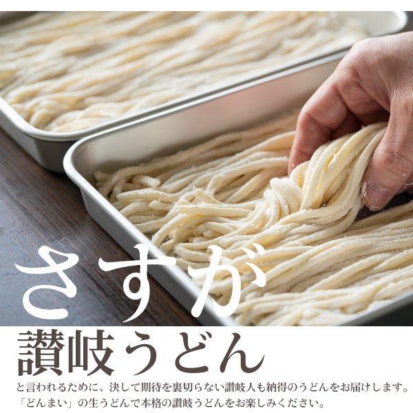 送料無料 うどん 讃岐うどん 3種から選べる 讃岐 生うどん 9食 麺のみ (300g×3袋) セット 香川 得トクセール ポイント消化 食品｜banya｜12