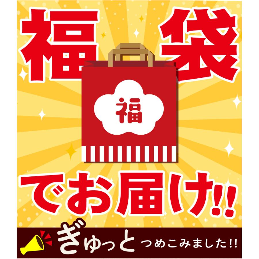 訳あり福袋セット 讃岐うどん 送料無料（北海道・沖縄・離島+1500円  