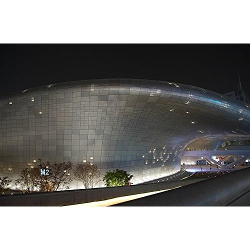 ブランド SAMYANG 単焦点広角レンズ 12mm T2.2 キヤノン EOS M用 APS-C用 【VQL5789358424】(20244円)