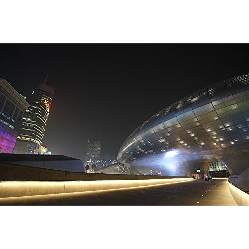 ブランド SAMYANG 単焦点広角レンズ 12mm T2.2 キヤノン EOS M用 APS-C用 【VQL5789358424】(20244円)