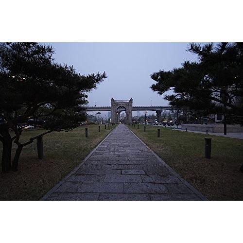 ブランド SAMYANG 単焦点広角レンズ 12mm T2.2 キヤノン EOS M用 APS-C用 【VQL5789358424】(20244円)