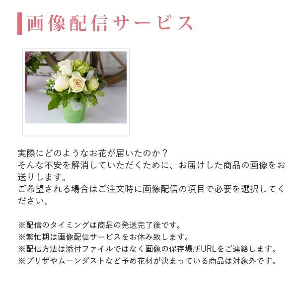 花ギフト 誕生日 プレゼント ケーキ型 アレンジメントフラワー フラワーアレンジ フラワーケーキ Mサイズ お祝い Cam Tweeling Onlineshop Nishiibaraen 通販 Yahoo ショッピング