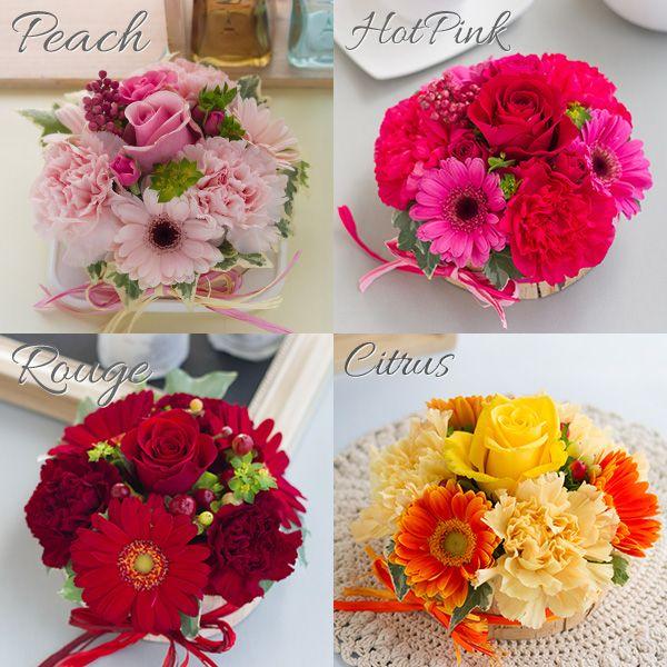 花ギフト 誕生日 プレゼント ケーキ型 アレンジメントフラワー フラワーアレンジ フラワーケーキ Sサイズ お祝い Cas Tweeling Onlineshop Nishiibaraen 通販 Yahoo ショッピング