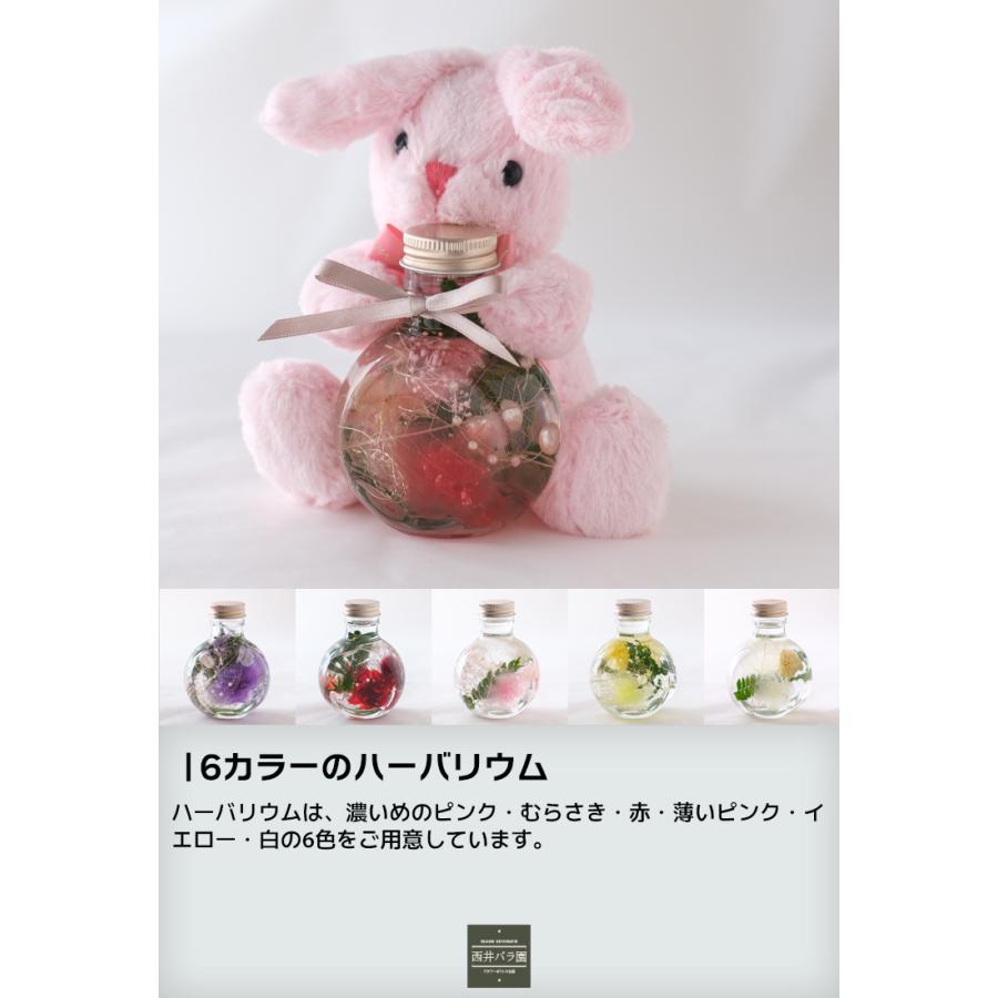 プレゼント ぬいぐるみとお花のフラワーギフト ハーバリウム