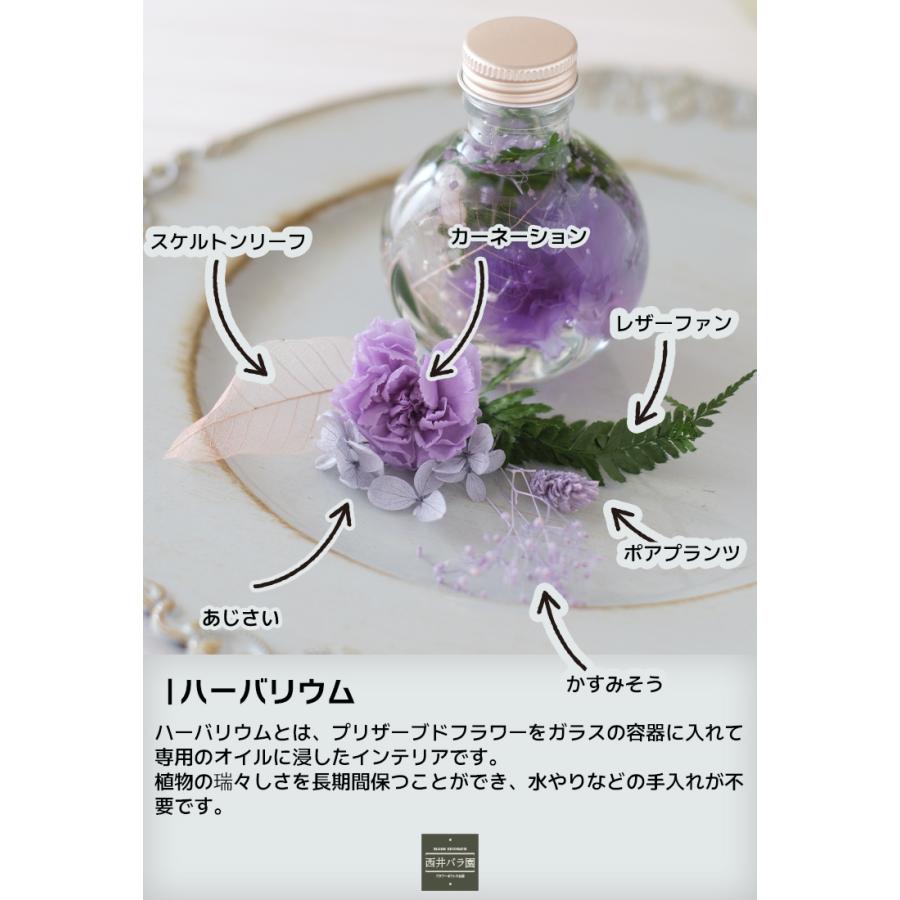プレゼント ぬいぐるみとお花のフラワーギフト ハーバリウム