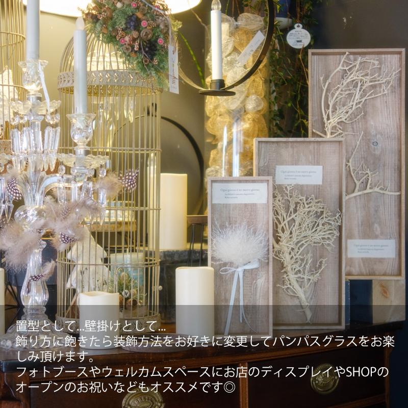 パンパスグラスのシャンデリア インテリアプレゼント開店祝い