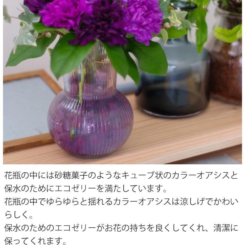 超目玉 誕生日 ギフト 青い 紫 カーネーション 花 花瓶付き花束 スクレ ムーンダスト Mサイズ