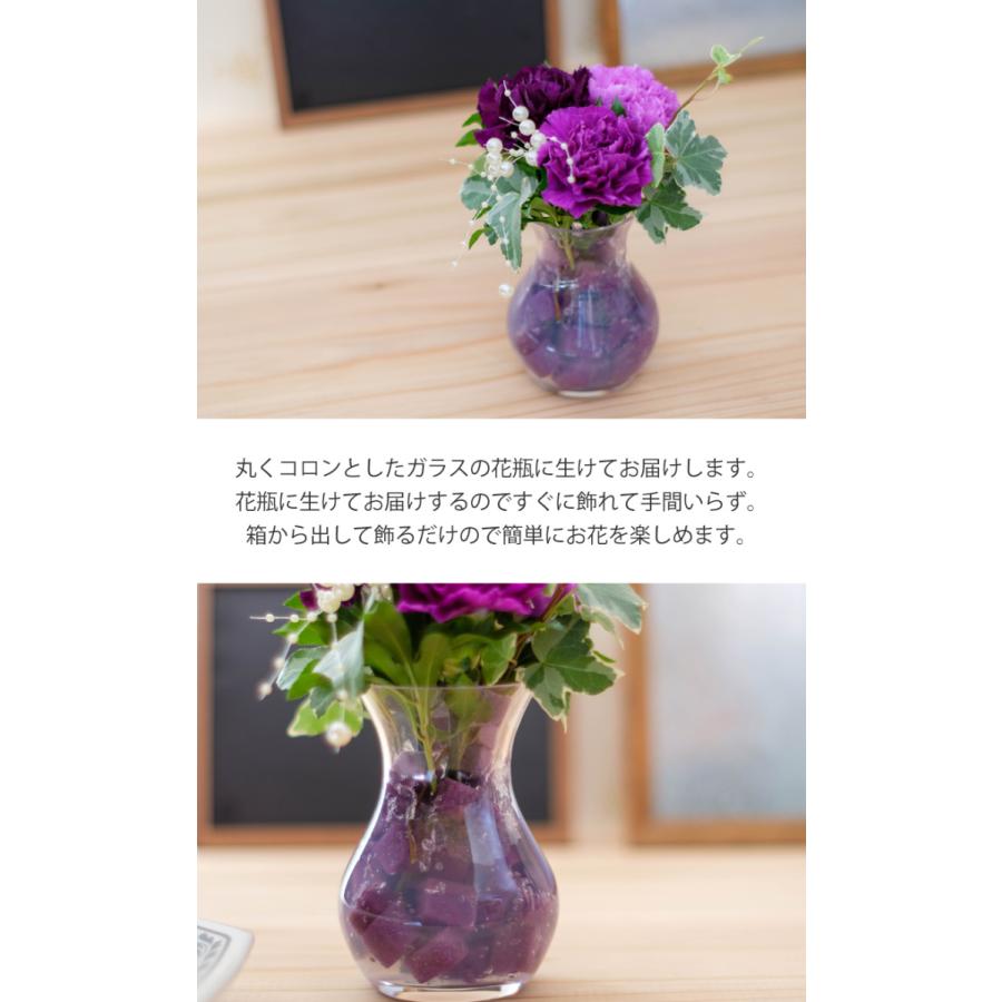 母の日 22 誕生日 ギフト 青い 紫 カーネーション 花 花瓶付き花束 スクレ ムーンダスト Sサイズ Mdst Scr S Tweeling Onlineshop 西井バラ園 通販 Yahoo ショッピング