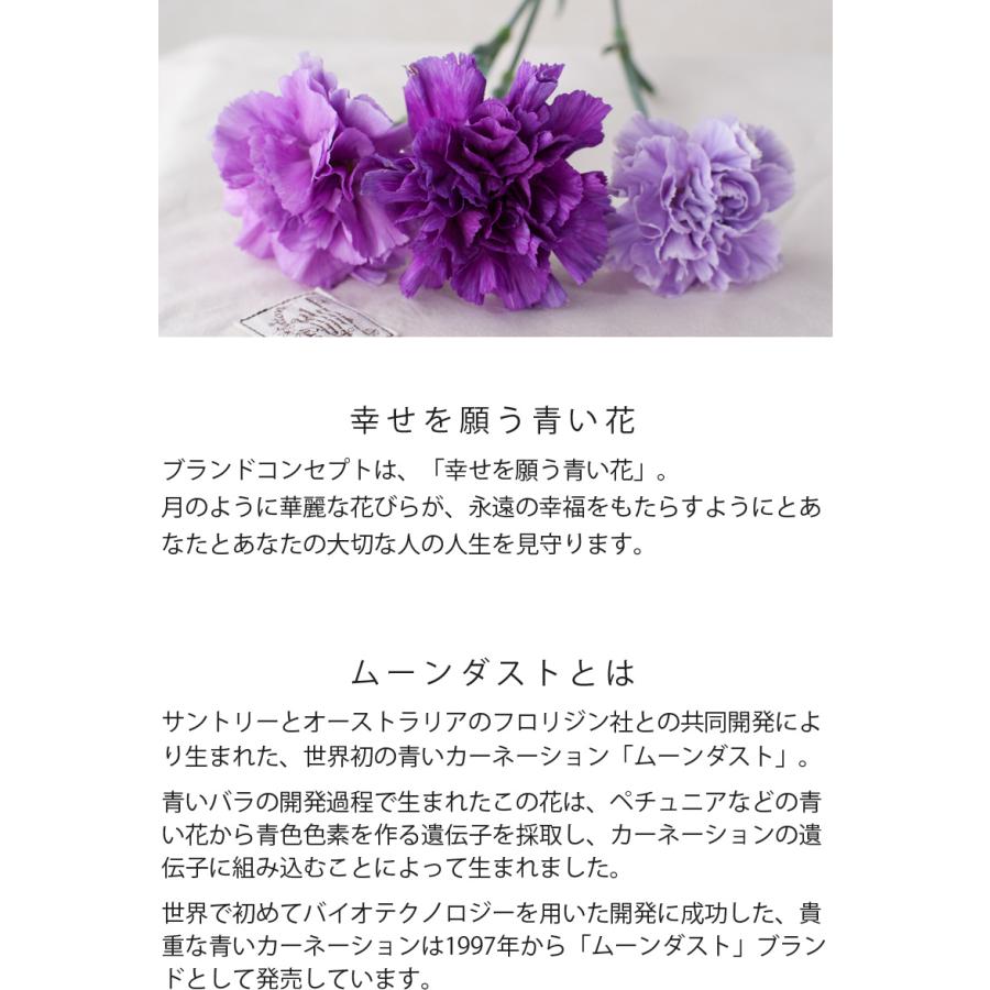 誕生日 ギフト 青い 紫 カーネーション 花 花瓶付き花束 スクレ ムーンダスト Sサイズ Mdst Scr S Tweeling Onlineshop 西井バラ園 通販 Yahoo ショッピング