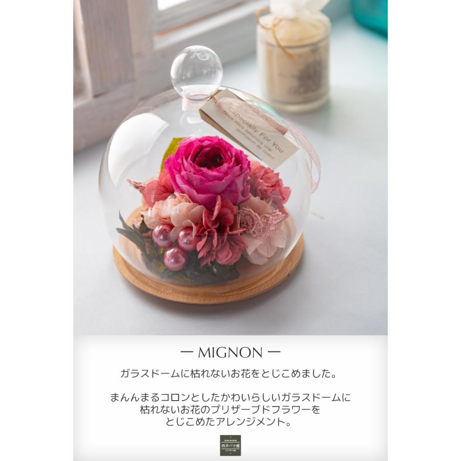 プレゼント ギフト 誕生日 プリザーブドフラワー ガラスドーム 花