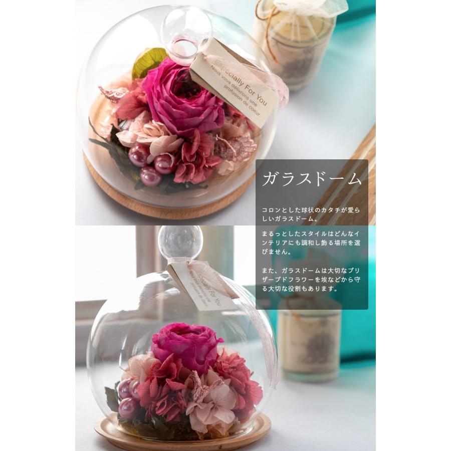 プリザーブドフラワー Mignonミニョン ギフト ガラスケース バラ アレンジ Mignon Tweeling Onlineshop Nishiibaraen 通販 Yahoo ショッピング