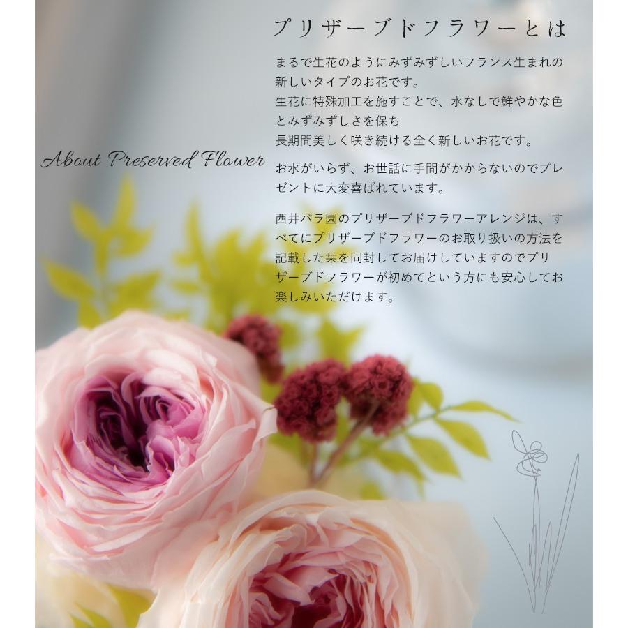 プリザーブドフラワー Mignonミニョン ギフト ガラスケース バラ アレンジ Mignon Tweeling Onlineshop Nishiibaraen 通販 Yahoo ショッピング