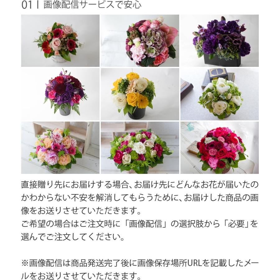 敬老の日 ギフト 花ギフト 贈り物 誕生日 プレゼント アレンジメントフラワー フラワーアレンジメント Lサイズ お母さん お祝い Omks Arr L Tweeling Onlineshop 西井バラ園 通販 Yahoo ショッピング