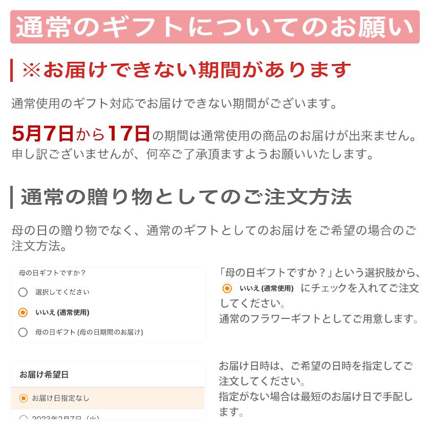 母の日 喜ばれる 予約   プリザーブドフラワー 古希 お祝い 誕生日 プレゼント ガラスドーム ガラスケース アレンジ プティジャルダン｜baraen241｜15