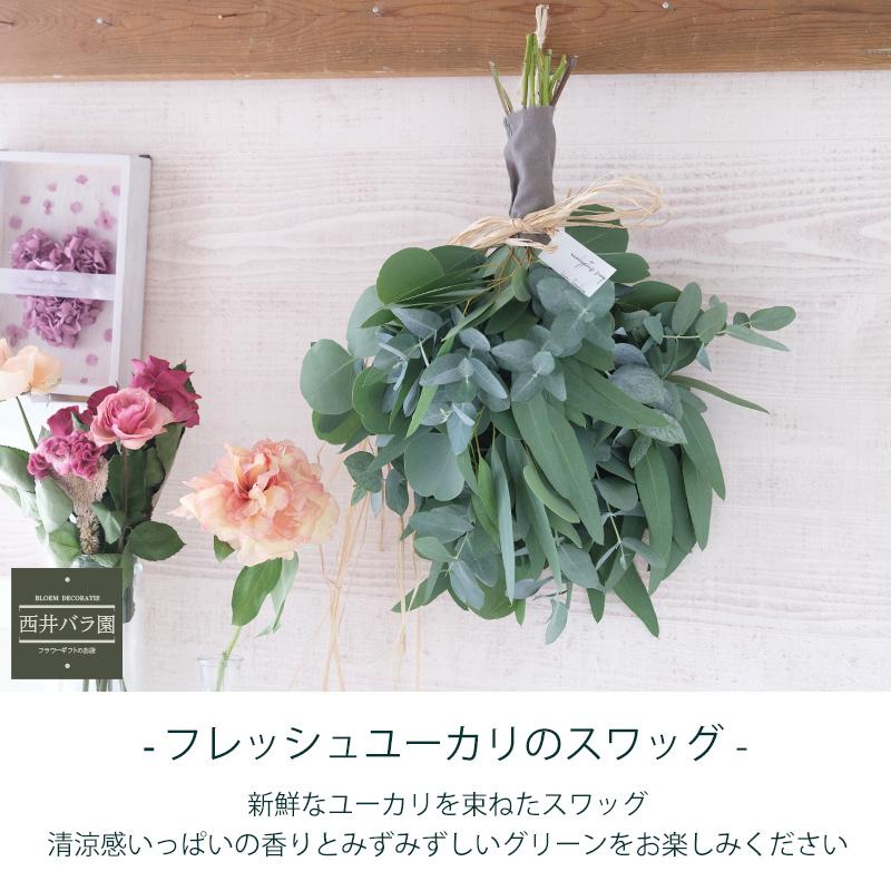 インテリア 玄関 壁飾り ユーカリ スワッグ おしゃれ 風水 生花 ドライ